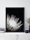 White Protea Poster Framed Art Print | Lifestyle