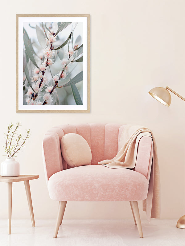 Hakea Flowers Poster Framed Art Print | Lifestyle