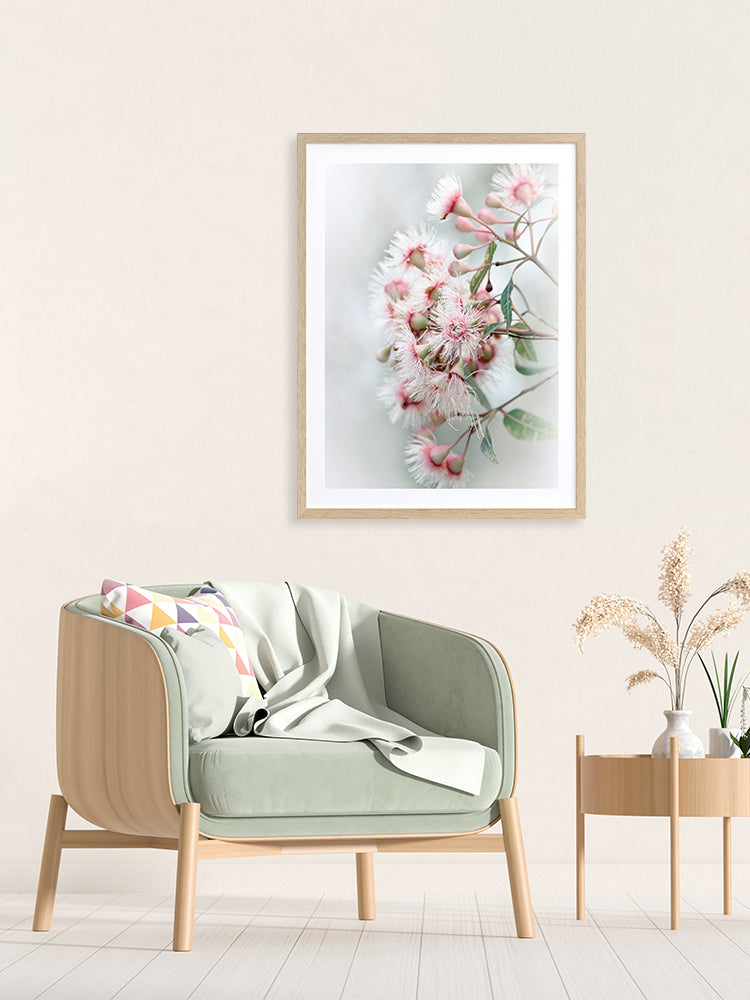 Gum Tree Blossoms Poster Framed Art Print | Lifestyle