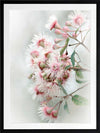 Gum Tree Blossoms Poster Framed Art Print