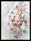 Gum Tree Blossoms Poster Framed Art Print