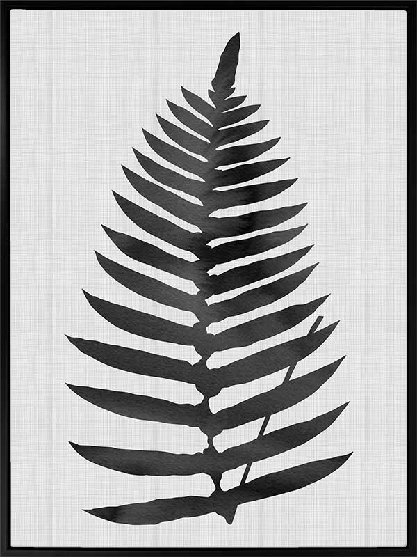 Beech Black Canvas Art Print