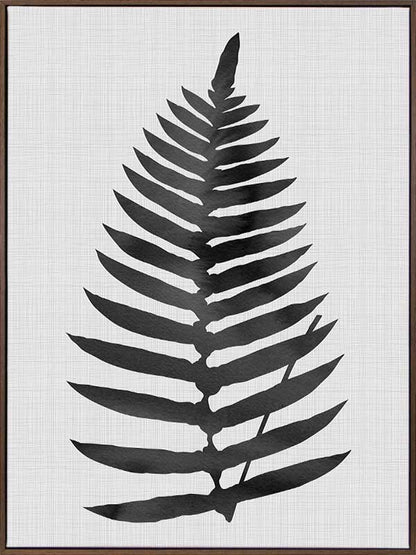 Beech Black Canvas Art Print