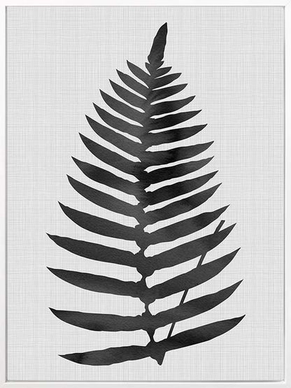 Beech Black Canvas Art Print