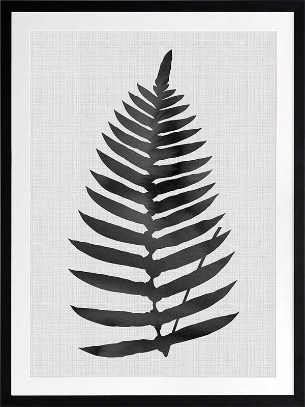 Beech Black Poster Framed Art Print
