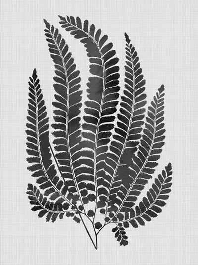 Maple Black Unframed Art Print