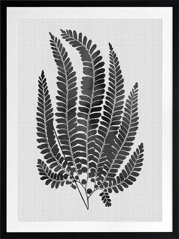 Maple Black Poster Framed Art Print