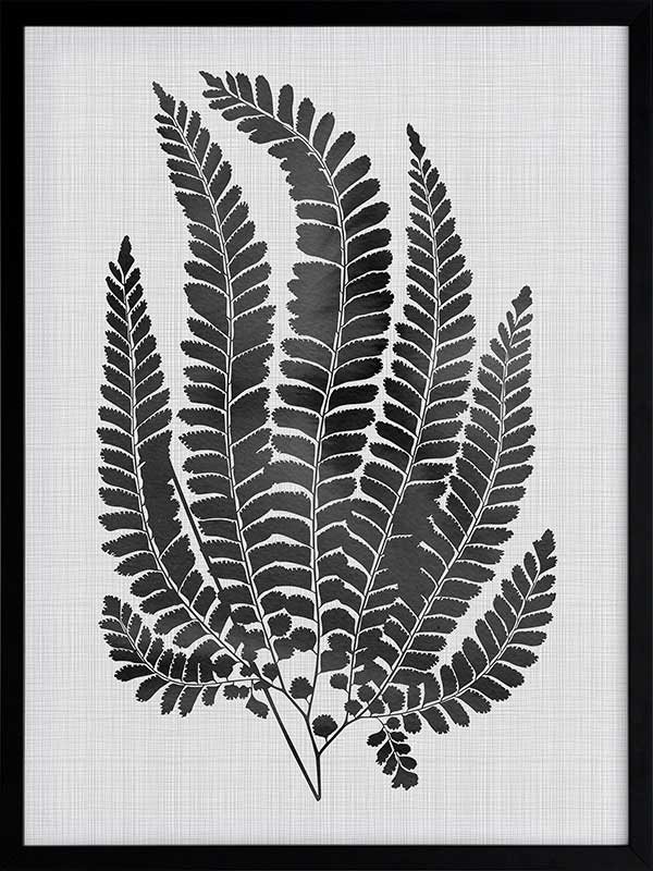 Maple Black Poster Framed Art Print