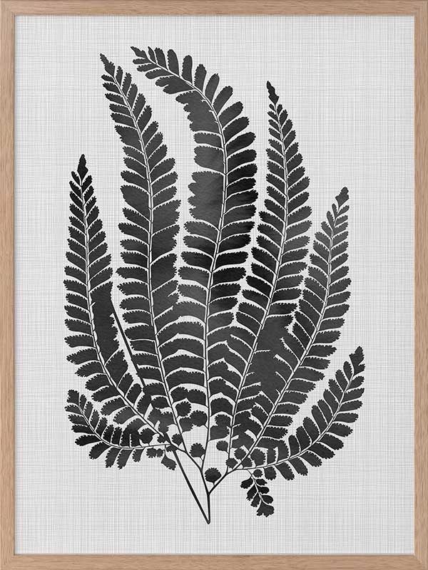 Maple Black Poster Framed Art Print