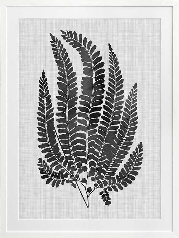 Maple Black Poster Framed Art Print