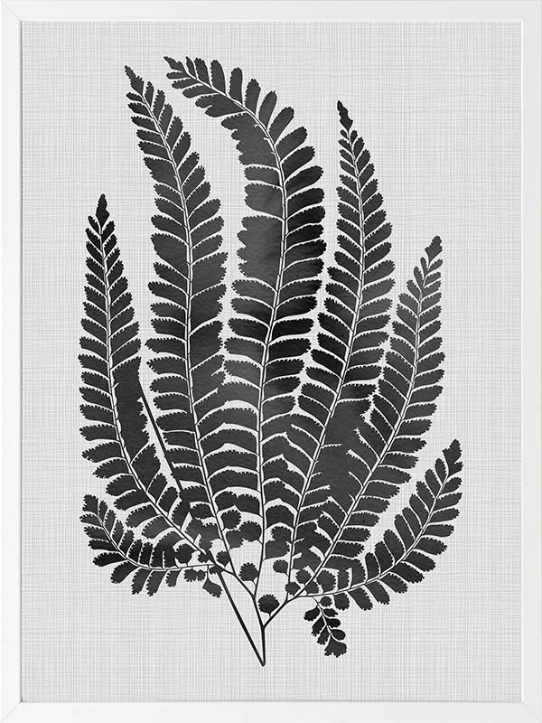 Maple Black Poster Framed Art Print