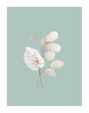 Mint Anthurium II Unframed Art Print