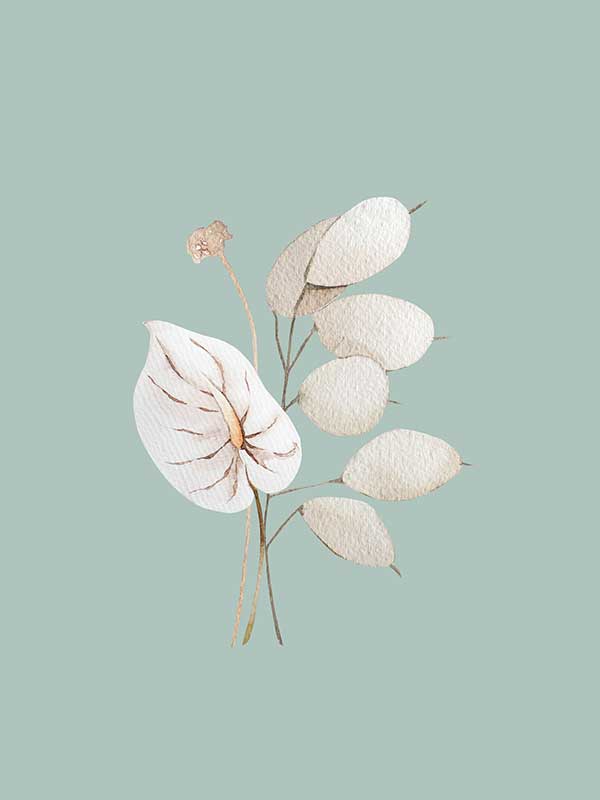 Mint Anthurium II Canvas Art Print