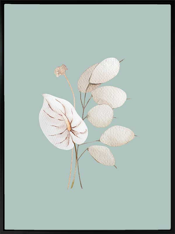 Mint Anthurium II Canvas Art Print