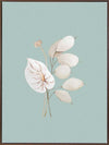 Mint Anthurium II Canvas Art Print