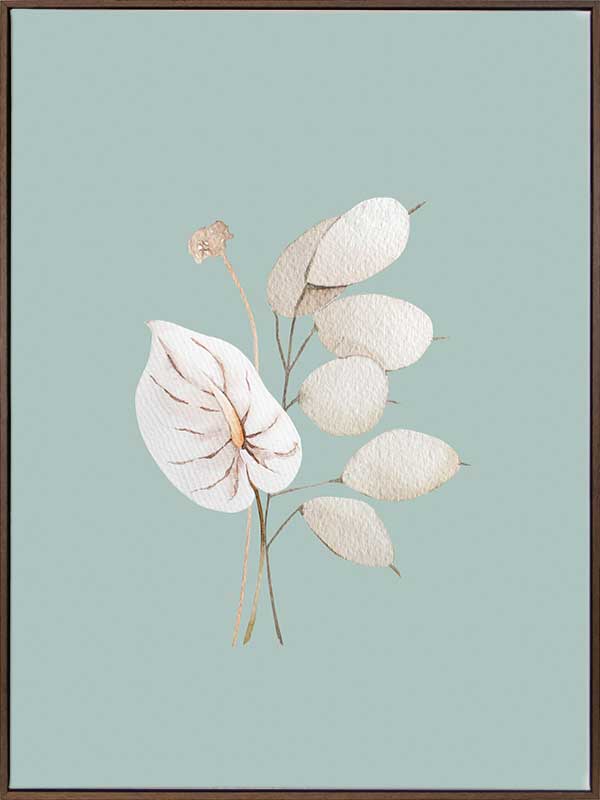 Mint Anthurium II Canvas Art Print