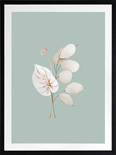 Mint Anthurium II Poster Framed Art Print