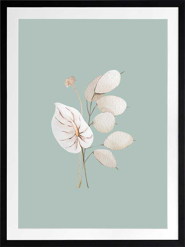 Mint Anthurium II Poster Framed Art Print