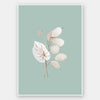 Mint Anthurium II Unframed Art Print