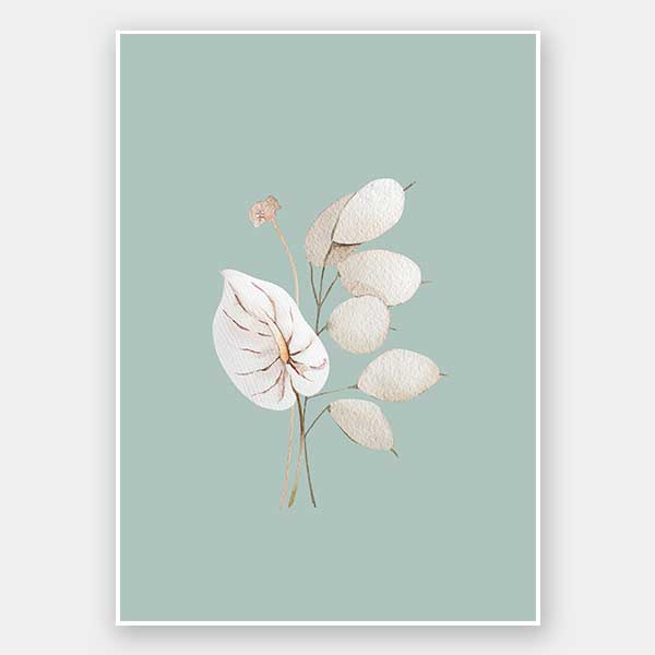 Mint Anthurium II Unframed Art Print