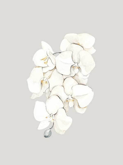 Beige Lilies Canvas Art Print