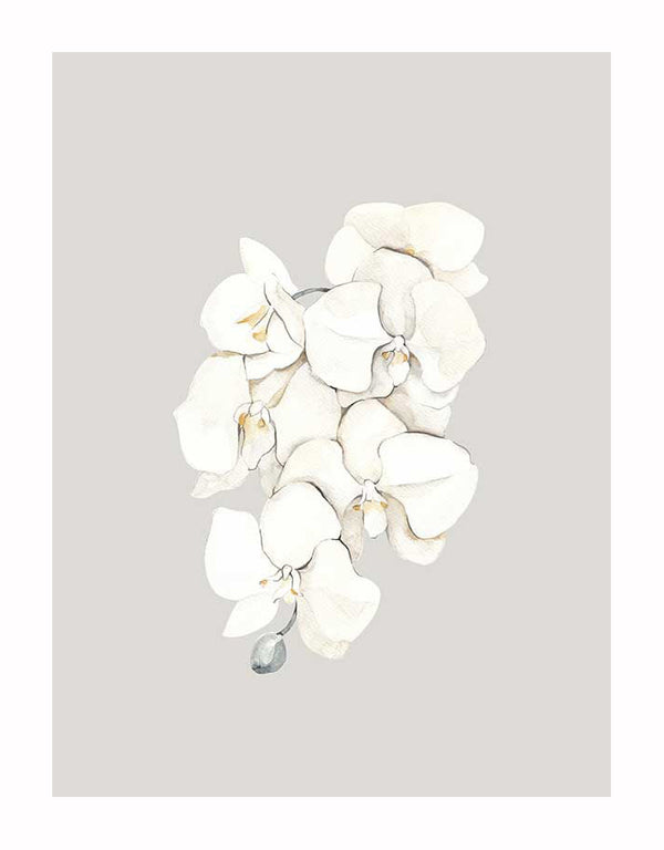 A cluster of elegant beige lilies with soft green stems, illustrated in watercolor and centered on a light gray background, makes the Beige Lilies Unframed Art Print by Urban Road a perfect addition to modern interiors.