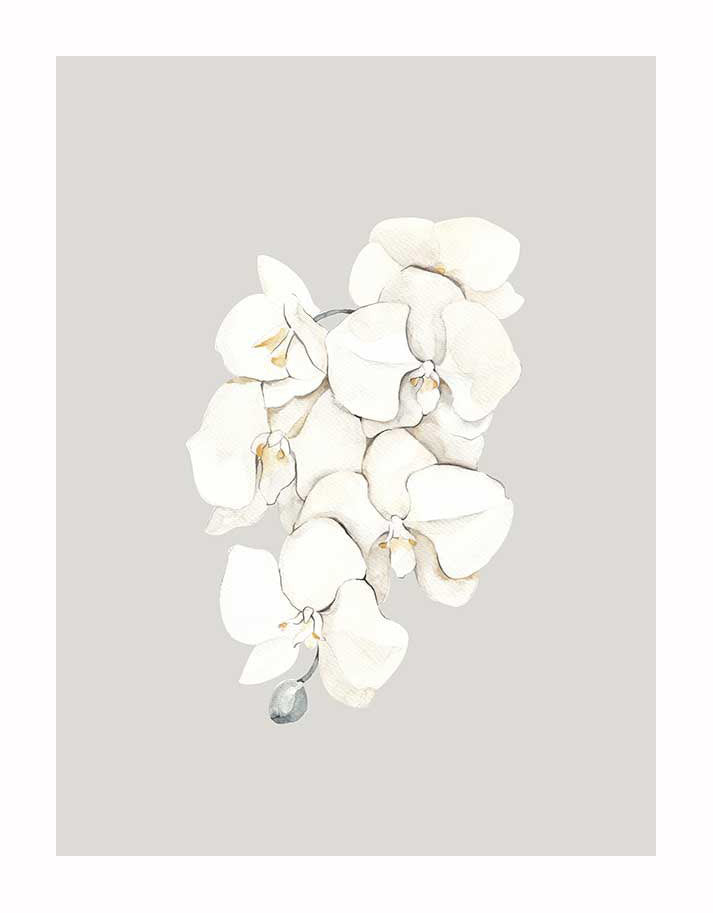 A cluster of elegant beige lilies with soft green stems, illustrated in watercolor and centered on a light gray background, makes the Beige Lilies Unframed Art Print by Urban Road a perfect addition to modern interiors.