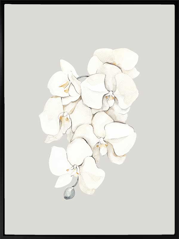 Beige Lilies Canvas Art Print