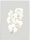 Beige Lilies Canvas Art Print
