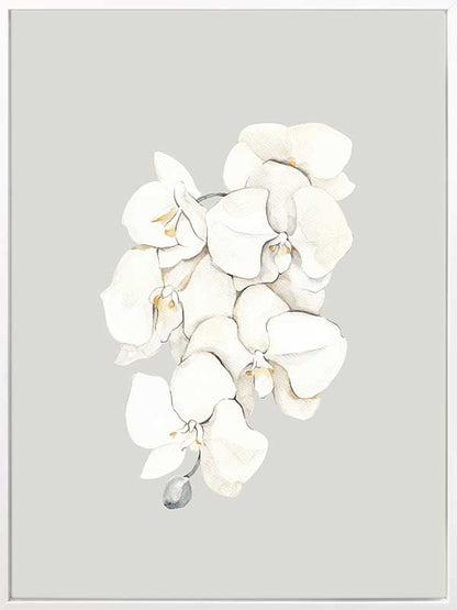 Beige Lilies Canvas Art Print