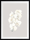 Beige Lilies Poster Framed Art Print