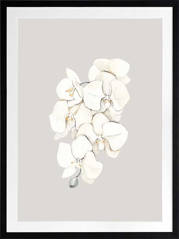 Beige Lilies Poster Framed Art Print