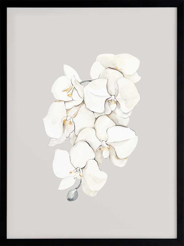Beige Lilies Poster Framed Art Print