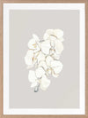 Beige Lilies Poster Framed Art Print
