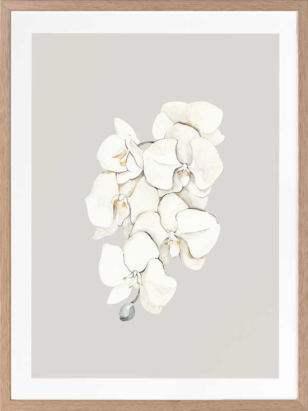 Beige Lilies Poster Framed Art Print