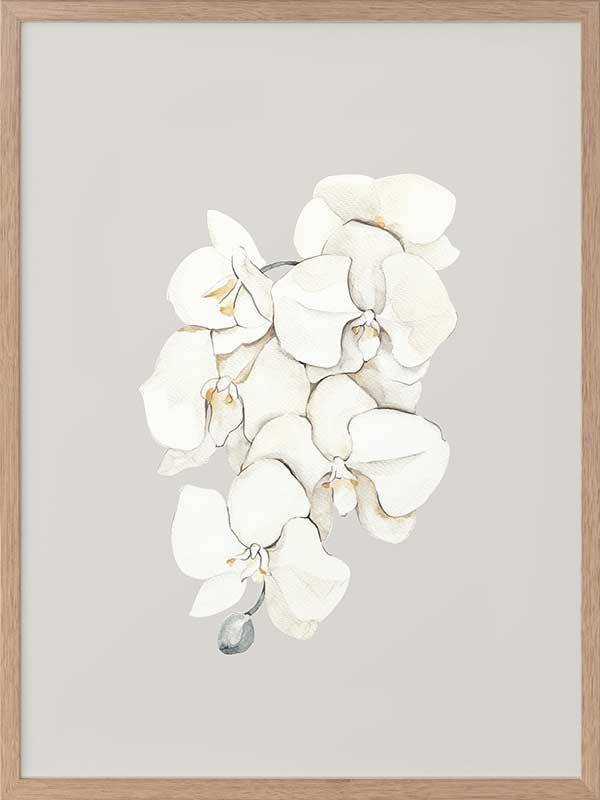 Beige Lilies Poster Framed Art Print