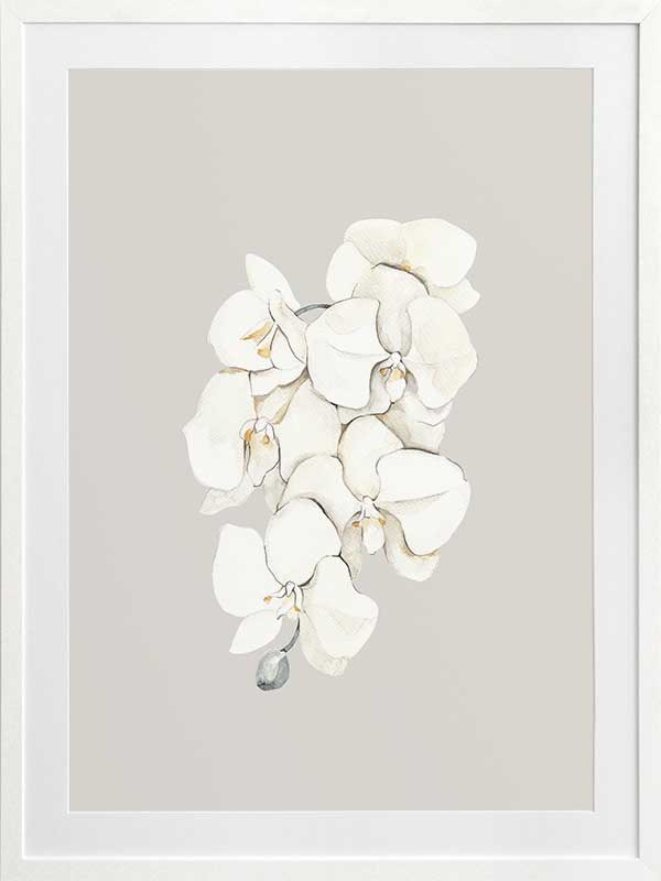 Beige Lilies Poster Framed Art Print