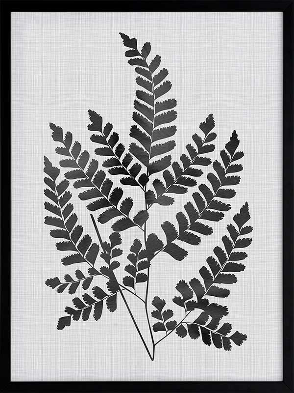 Chestnut Black Poster Framed Art Print