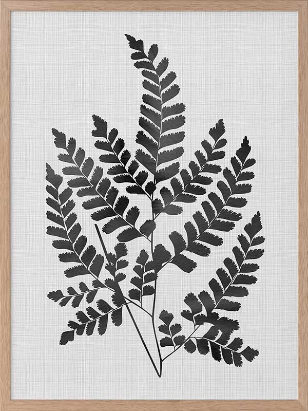 Chestnut Black Poster Framed Art Print