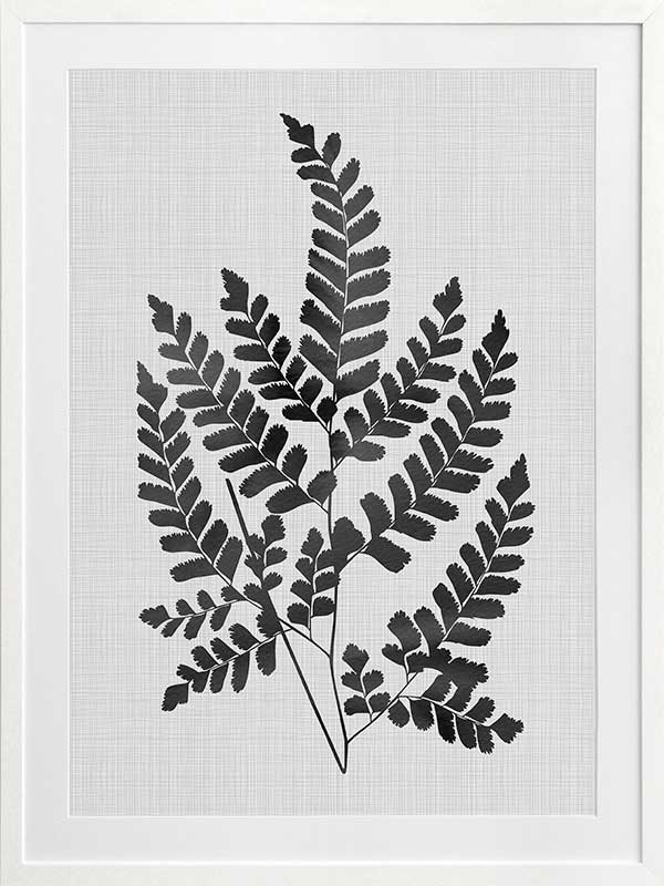 Chestnut Black Poster Framed Art Print