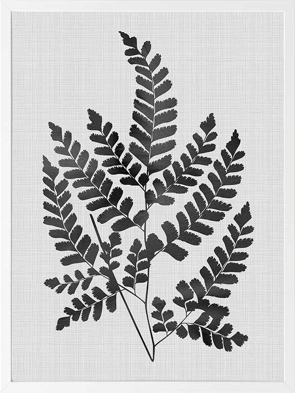 Chestnut Black Poster Framed Art Print