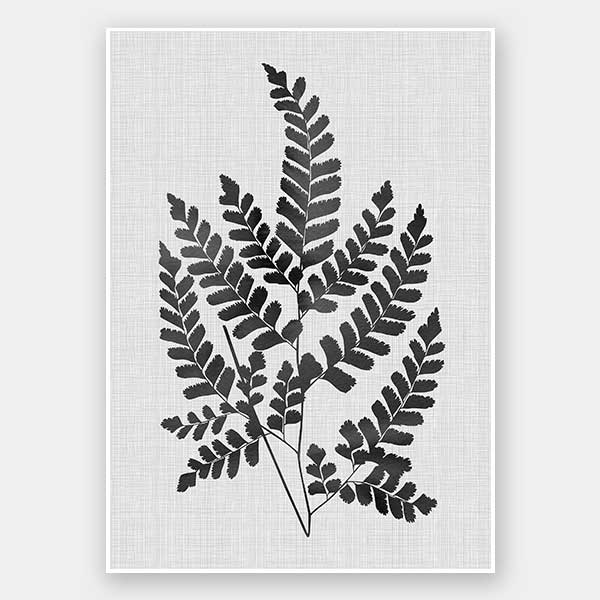 Chestnut Black Unframed Art Print