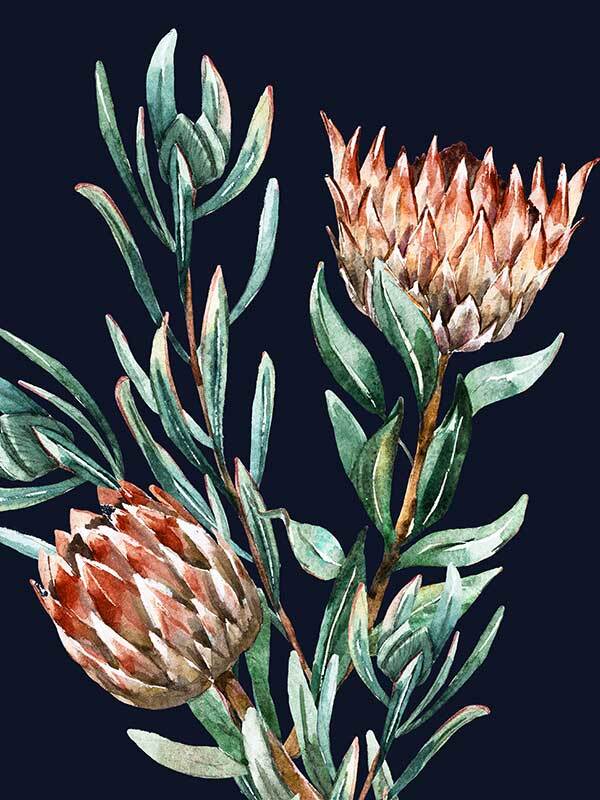 Dark Proteas II Canvas Art Print