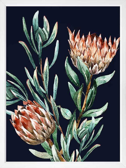 Dark Proteas II Poster