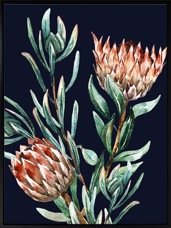 Dark Proteas II Canvas Art Print