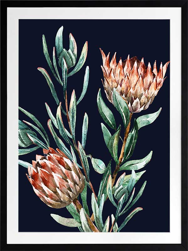 Dark Proteas II Poster Framed Art Print