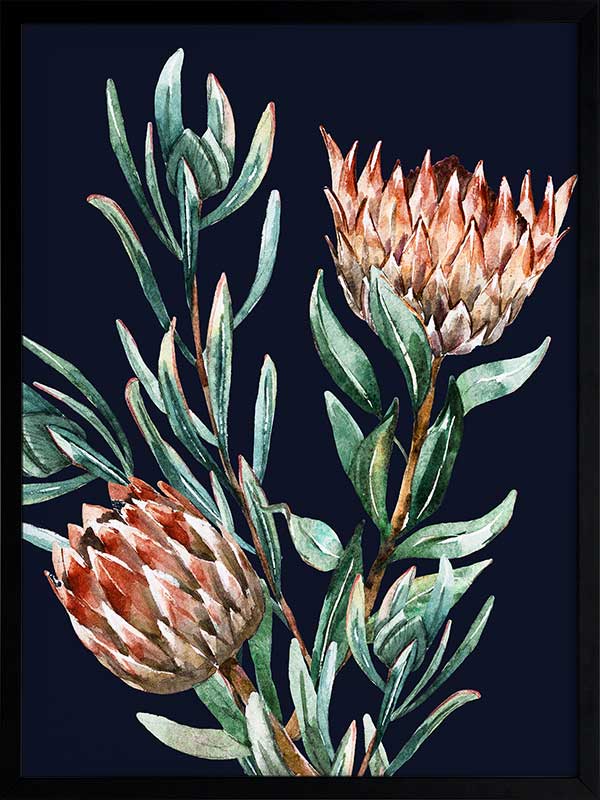 Dark Proteas II Poster Framed Art Print