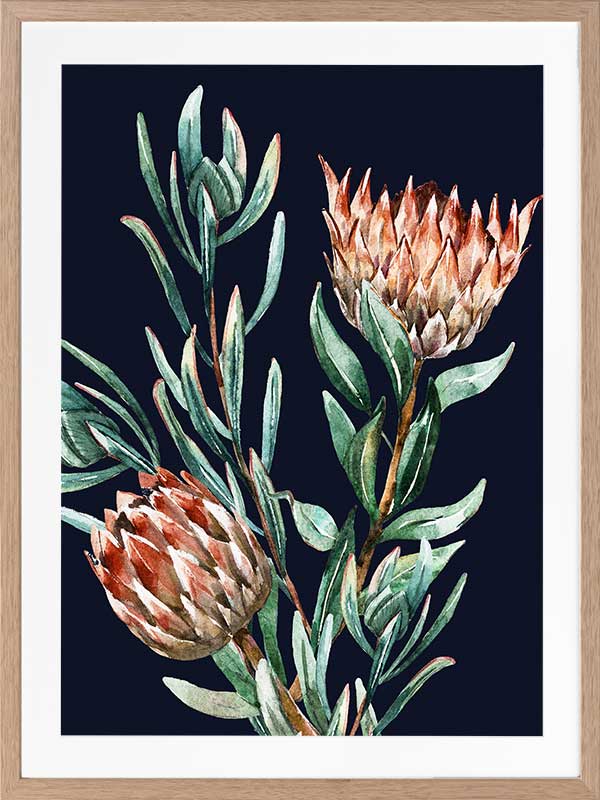 Dark Proteas II Poster Framed Art Print