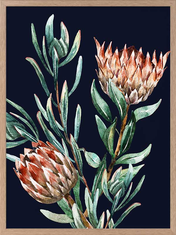 Dark Proteas II Poster Framed Art Print