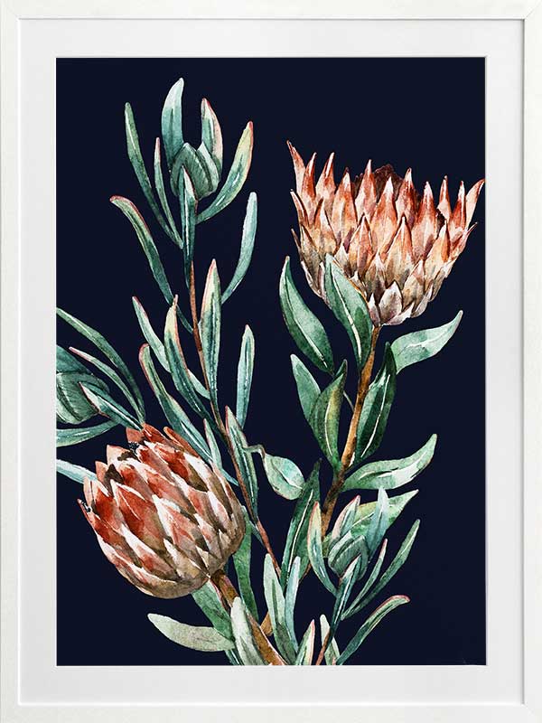Dark Proteas II Poster Framed Art Print